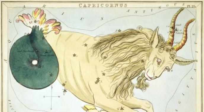 Козерог: характеристика и гороскоп, совместимость с другими знаками, интересные факты