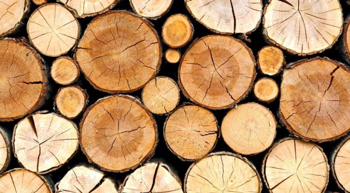 Vlastné podnikanie: predaj dreva Kde môžem predávať výrobky z dreva